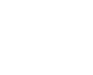 SJP Principal Partner Practice NEG RGB